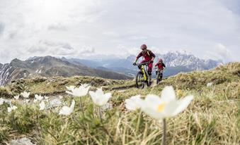 freizeit-sommer-radfahren-296-m-greber-1